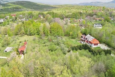 Teren intravilan Bran- Predelut - 16
