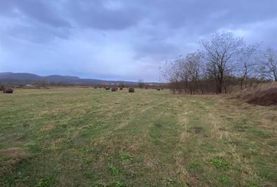 Teren Construcții extravilan de 5087 mp, în Sud-Vest - 5