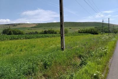 A/1601 De vanzare teren in Mure? - Mara?e?ti - 2