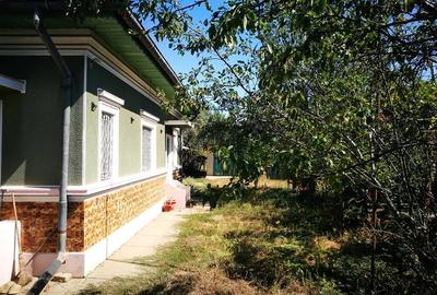 Casă cu 4 camere cu Teren 1200 Mp în Poenari - 2