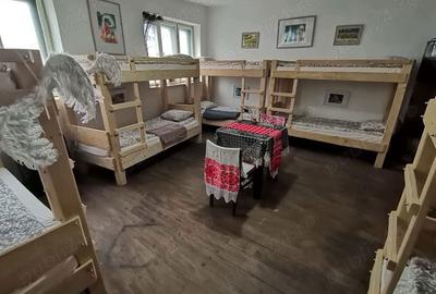 Casa de Vacan?a 24 locuri tip Hostel, Coste?ti, Hunedoara - 8