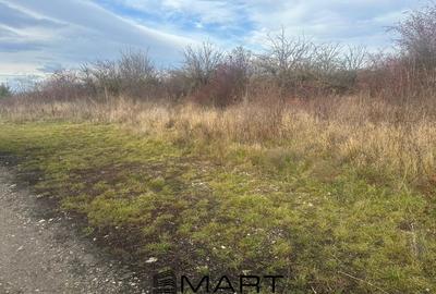 Teren Intravilan 1105 mp Sanpetru - 3