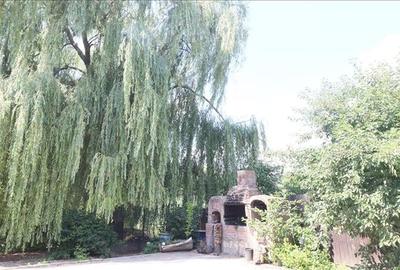 Vila individuala in Barnova 3 camere, 1000 mp teren, curte superba amenajata, ga - 21