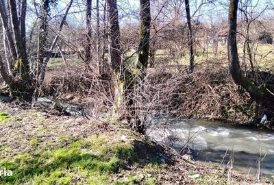 Casă cu 2 camere în Almaș - 8