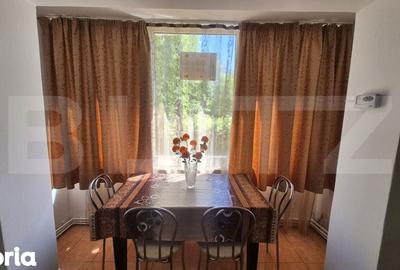 Apartament cu 2 camere semidecomandat în Botizului - 13