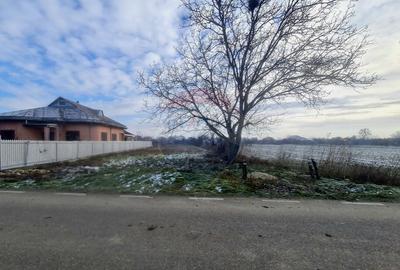 Teren intravilan 1,564mp in Gologanu - 2