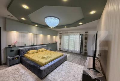 Casă cu 5 camere cu Teren 3500 Mp în Viile Satu Mare - 18