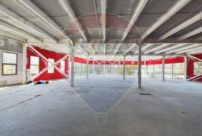 Spațiu comercial, de 554.01000976563 mp, în Colentina - 1