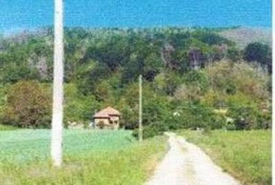 Casă cu 2 camere cu Teren 1546 Mp în Mălureni - 2