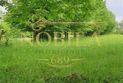 Teren de 5000 mp, în Cerdac - 2