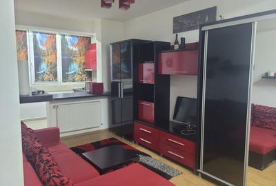 Apartament cu 2 camere semidecomandat în Runcu - 6
