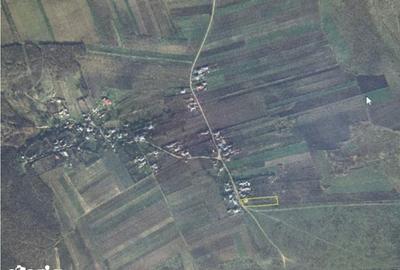 Casă cu 3 camere cu Teren 3487 Mp în Tănăsoaia - 4