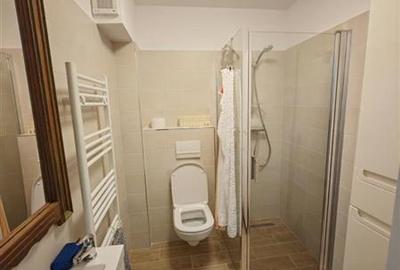 Apartament cu 3 camere decomandat, mobilat în Răcădău - 16