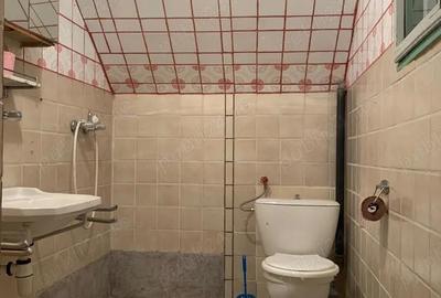 Casă cu Teren 2800 Mp în Muntele Băișorii - 9