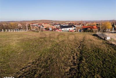 Teren de 1000 mp, în Biharia - 2