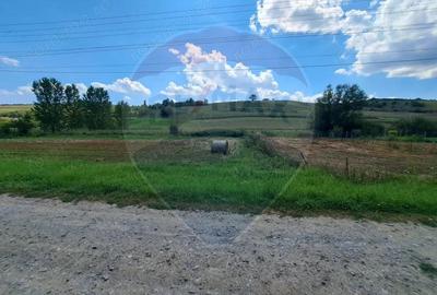 Teren de 2000 mp, în Lăureni - 2