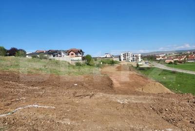 Teren de 5600 mp, în Cetate - 2