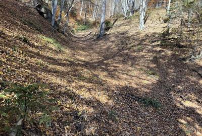 Teren de 4000 mp, în Poiana Brașov - 1