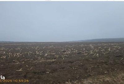 Teren de 2200 mp, în Călărași - 5