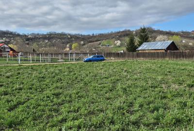 Spațiu comercial, în Cristian - 3