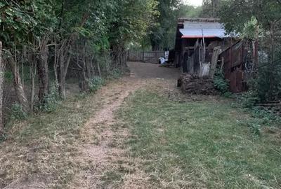Teren de 7.5 mp, în Homorâciu - 1