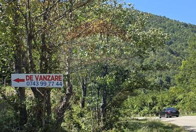 Teren de 4000 mp, în Păscoaia - 23