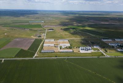 Teren Intravilan Investiții 11.600 mp Salonta - 5