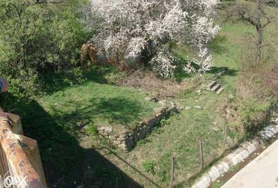 Teren Construcții intravilan de 3682 mp, în Măneciu-Ungureni - 4