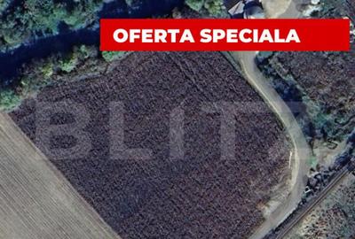 Teren extravilan cu potential ridicat, 10.000 mp, zona Blaj - 1