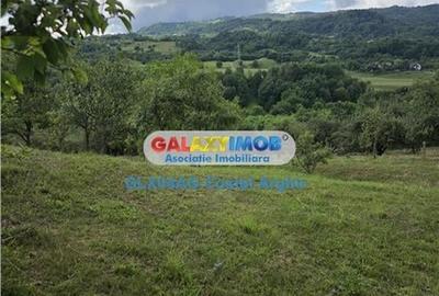 Vindem terenuri intravilane in Campulung - Arges 3400 si 1800 mp - 7