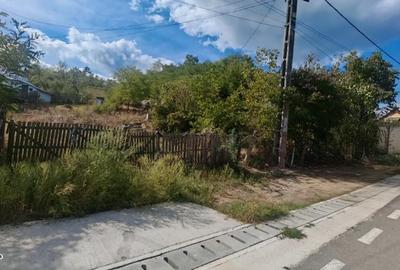 Teren de 500 mp, în Smeura - 1
