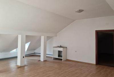 Casă individuală cu 7 camere cu Garaj în Splaiul Unirii - 23