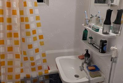 Primesc in gazda o persoana cu venit stabil Primesc in gazda o persoana cu venit stabil - 2