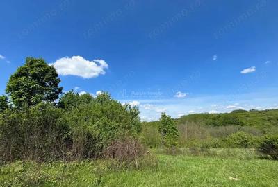 Teren de 5300 mp, în Lugoj - 1