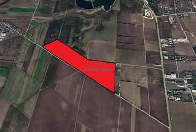 Teren de 400000 mp, în Tâncăbești