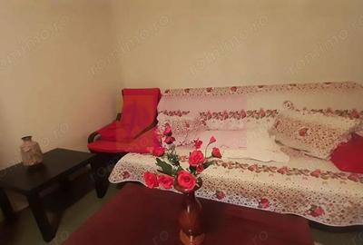 Apartament 2 camere decomandat Delfinului - 3