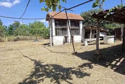 Casă cu Teren 2000 Mp în Tileagd