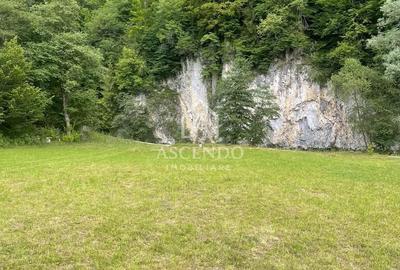 Spațiu comercial, în Podu Dâmboviței - 3
