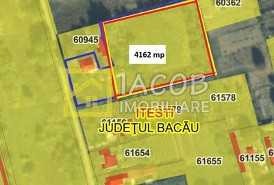Teren Construcții intravilan de 4162 mp, în Dumbrava (Berești-Bistrița) - 1