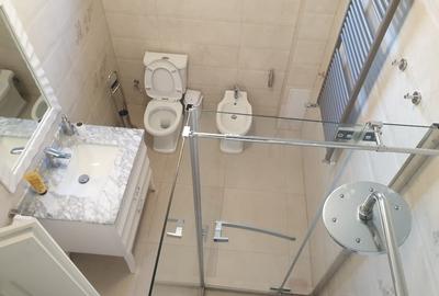 Apartament  central  30m   STAR  renovat complect  de 74 m  cu încălzire in pardoseala  .mobilat complect   DIVANI e SOFA  ZCU PARCARE +Șpalatorie și  Beci - 2
