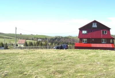 Teren de 10632 mp, în Paltin - 6
