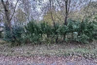 Spațiu comercial, în Feleacu - 7