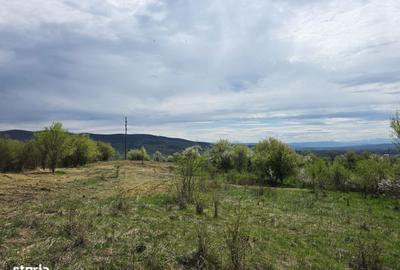 Teren de 6704 mp, în Hărău - 7