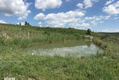 Teren de 390000 mp, în Iclod - 2