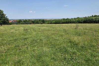 Spațiu comercial, în Viile Satu Mare - 1