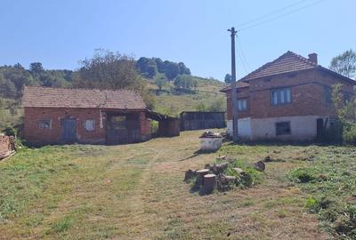 Casă cu 3 camere în Densuș - 8