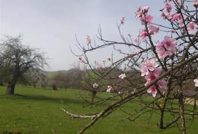 Teren Intravilan  in Luncoiu de Jos, Jd Hunedoara Teren Intravilan  in Luncoiu de Jos, Jd Hunedoara - 12