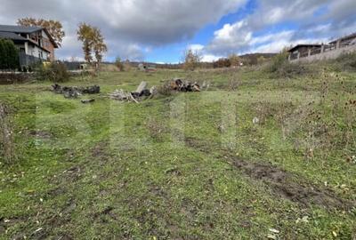 Parcela ideala de 10,5 ari - spatiu, liniste si potential Parcela ideala de 10,5 ari - spatiu, liniste si potential - 1