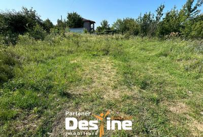 Teren Intravilan - Hlincea (Ciurea) 1000Mp - 12