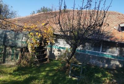 Casă individuală cu 3 camere cu Teren 1757 Mp în Crivăț - 2